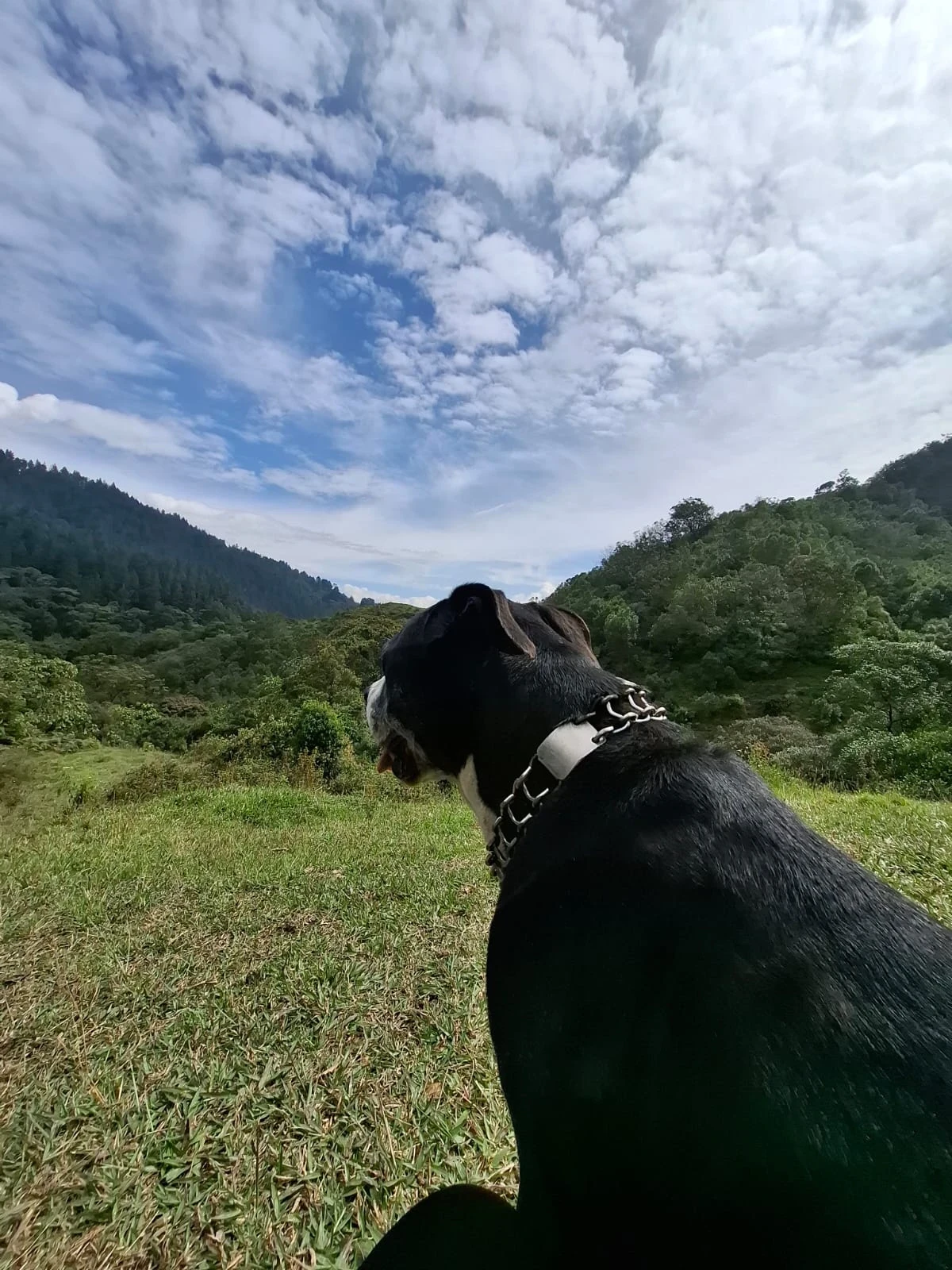 Mente Clara Montaña Viva 7