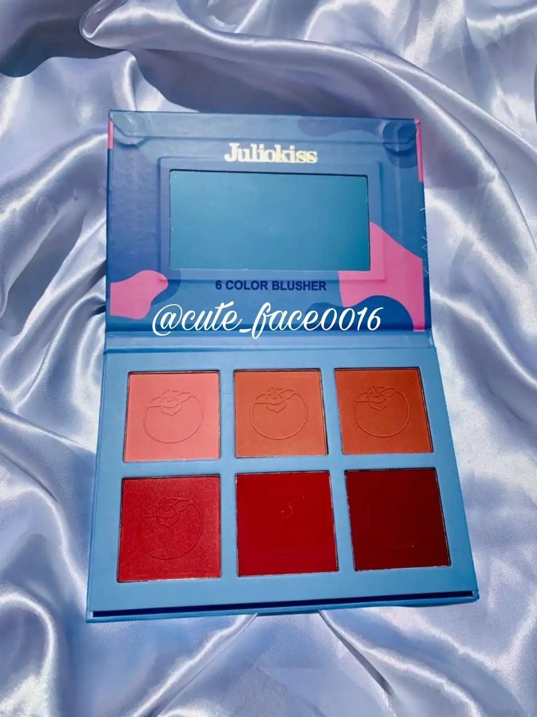 Paleta de rubores Blueberry 