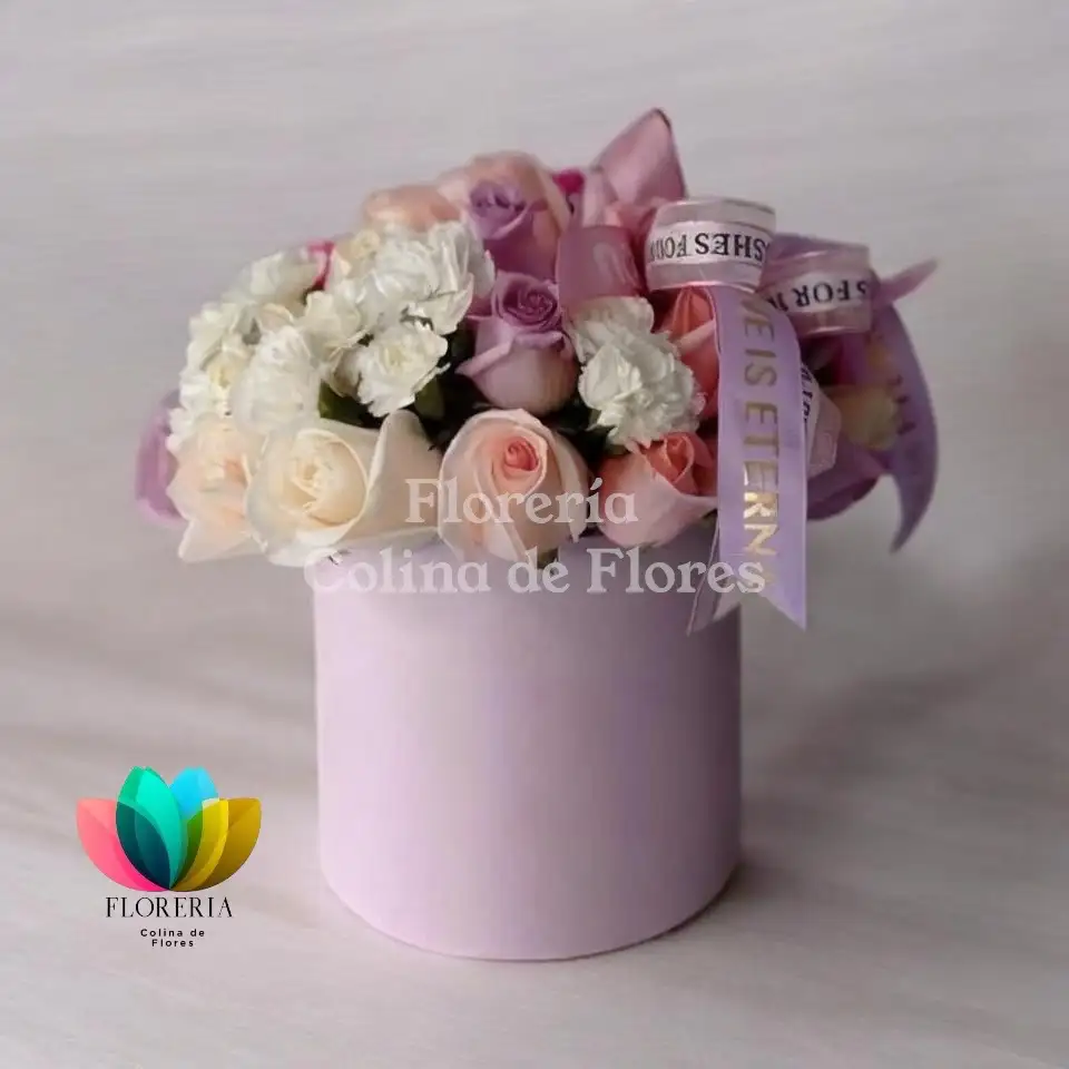 Box mix pastel