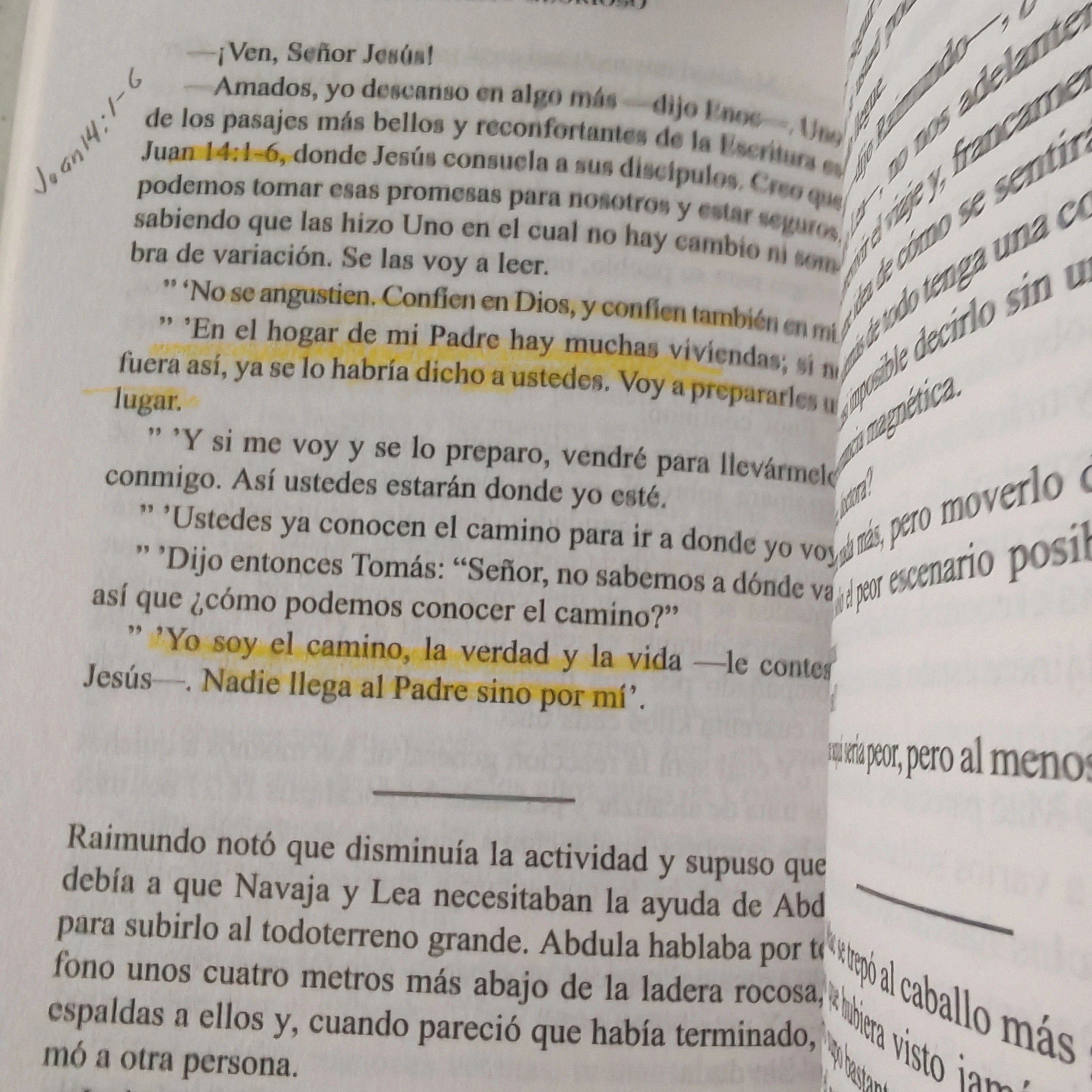 El regreso glorioso, T. LaHaye y J.B. Jenkins, usado 2