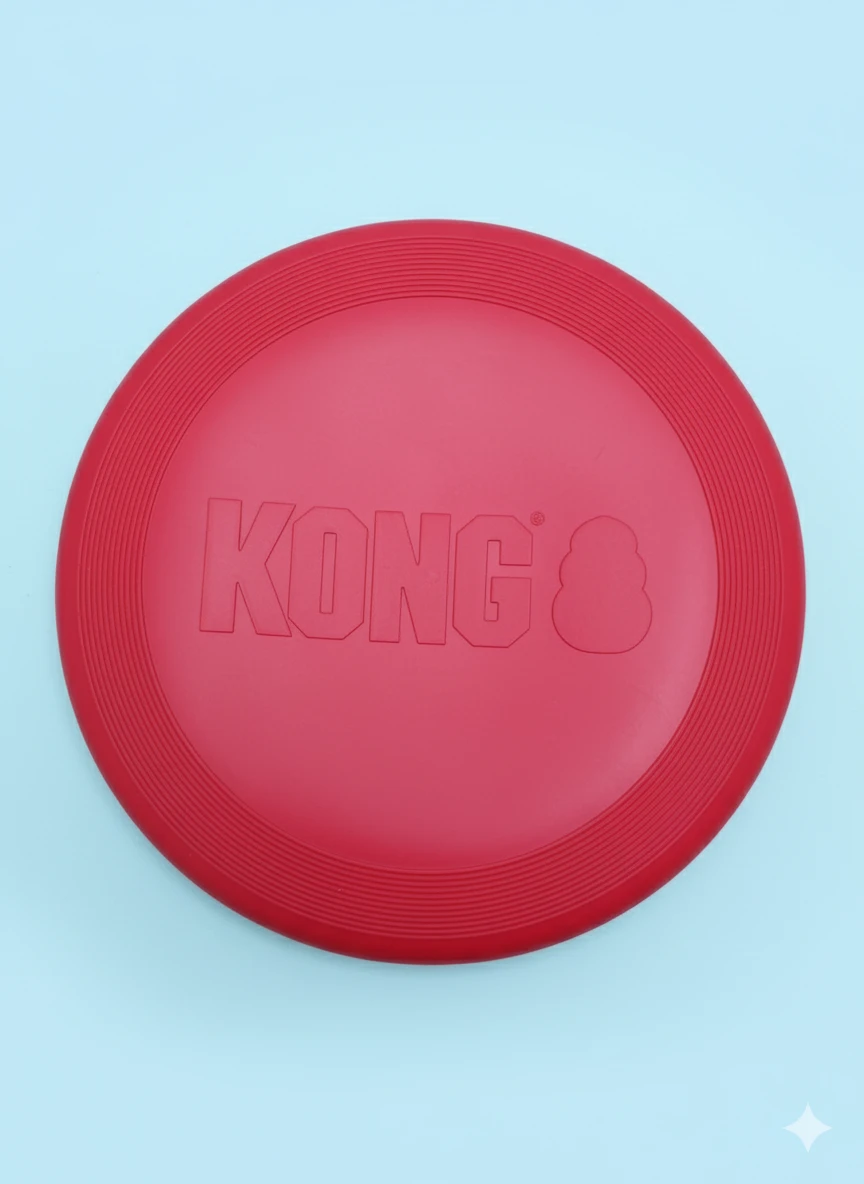 KONG Flyer Large