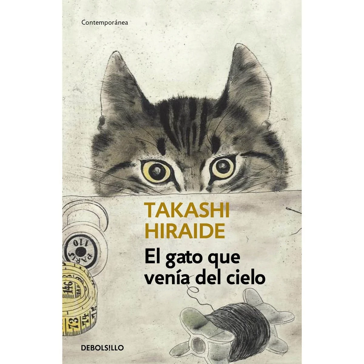 EL GATO QUE VENIA DEL CIELO
