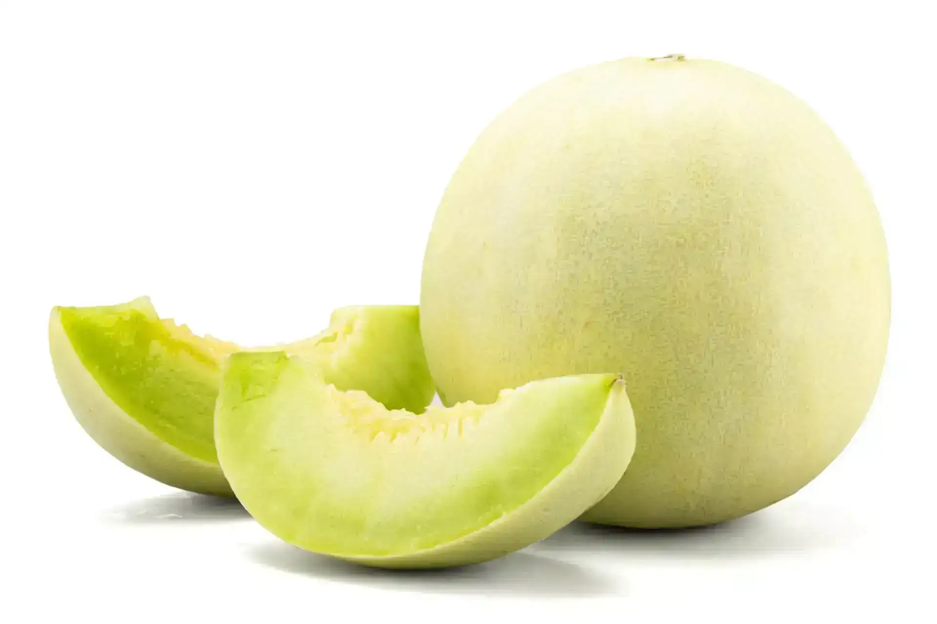 MELON HONEY DEW MEDIANO