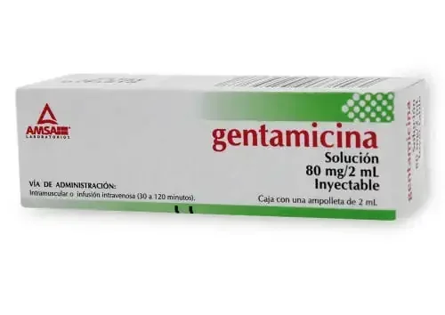 Gentamicina (AMSA)