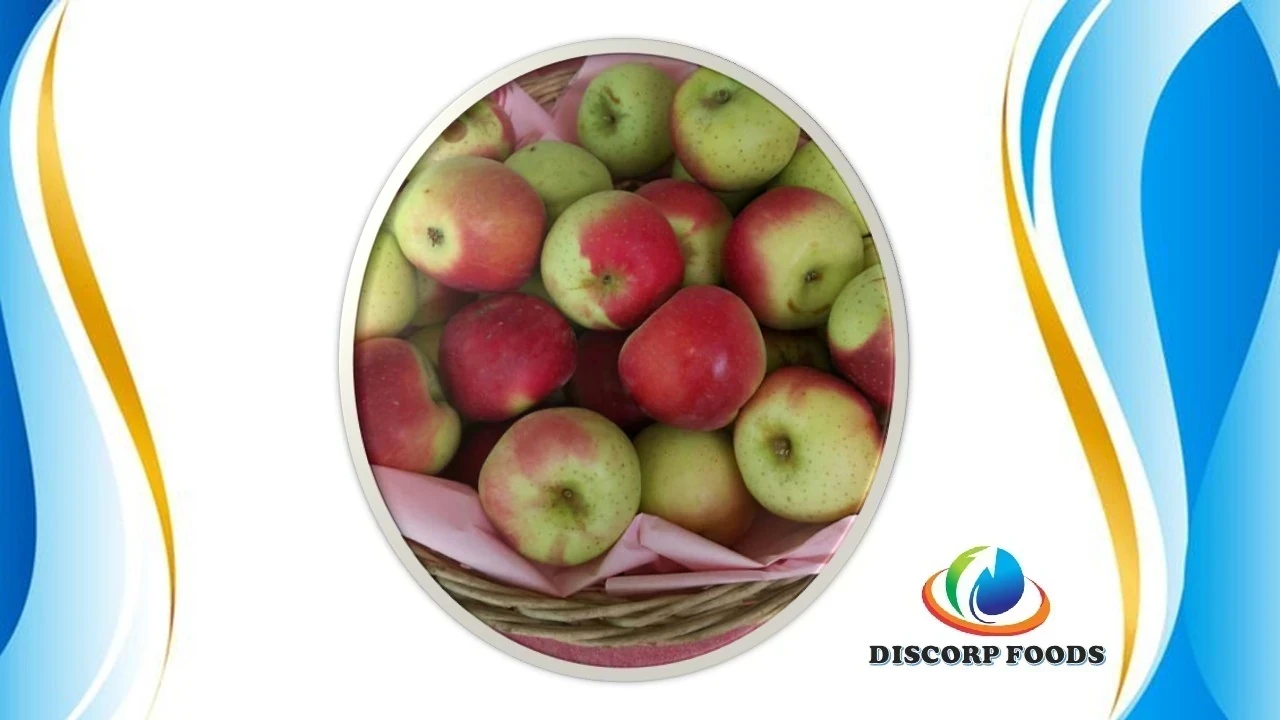 MANZANA WINTER