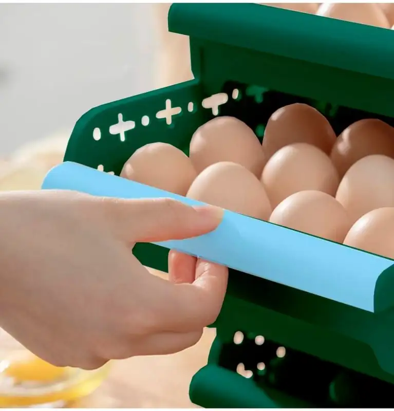 Organizador de huevos  2