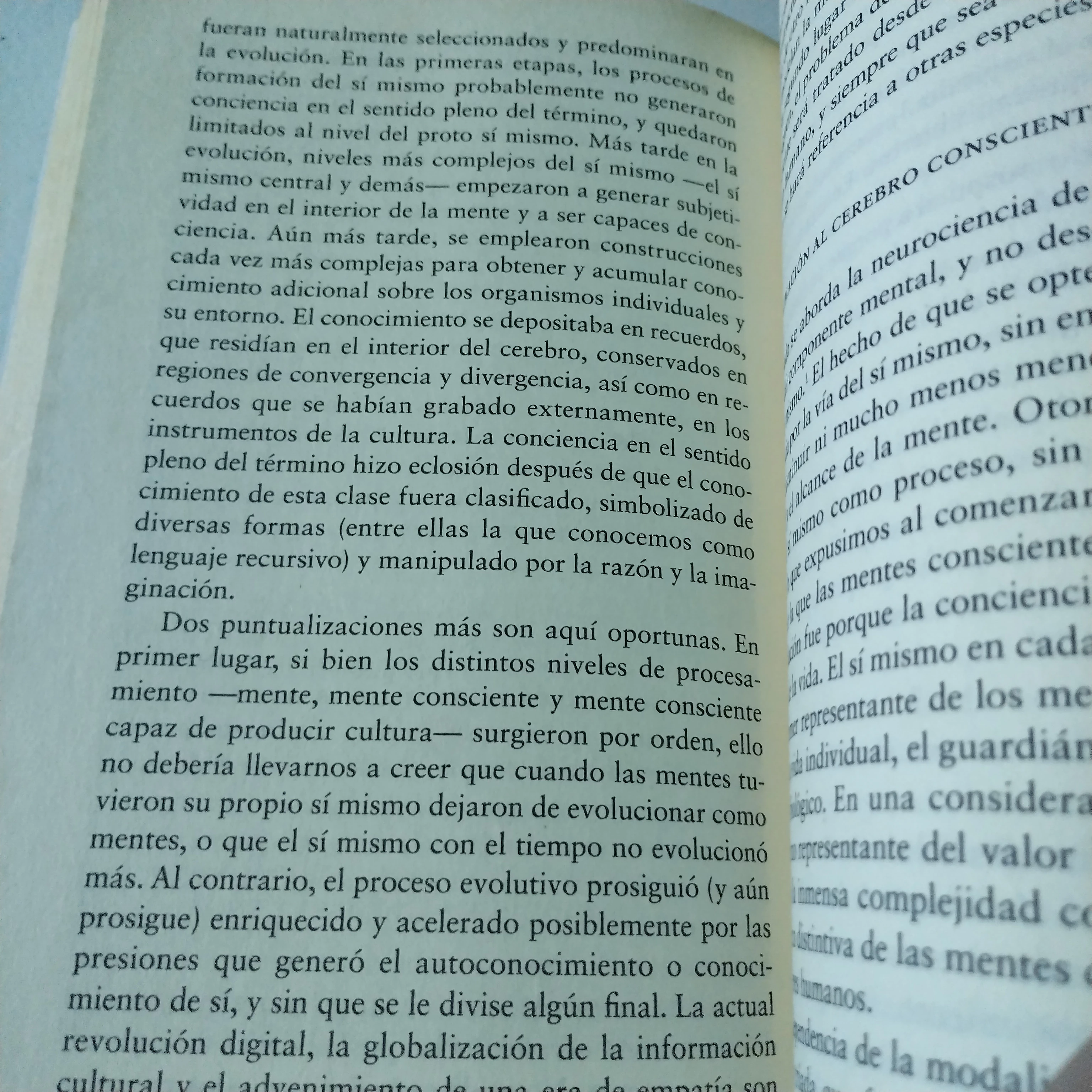 Y el cerebro creó al hombre, Antonio Damasio, usado  3