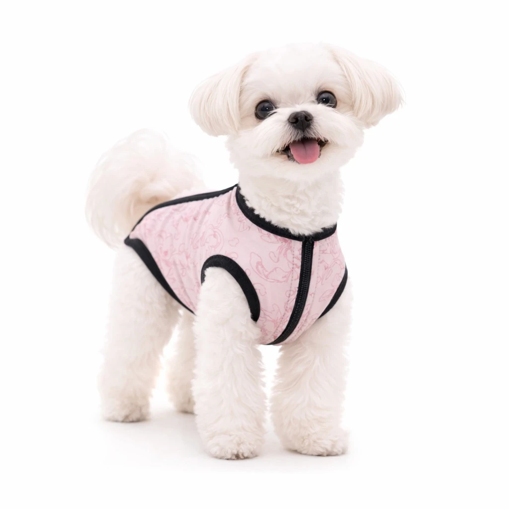 Faja post operatoria de algodón para hembra Minnie
