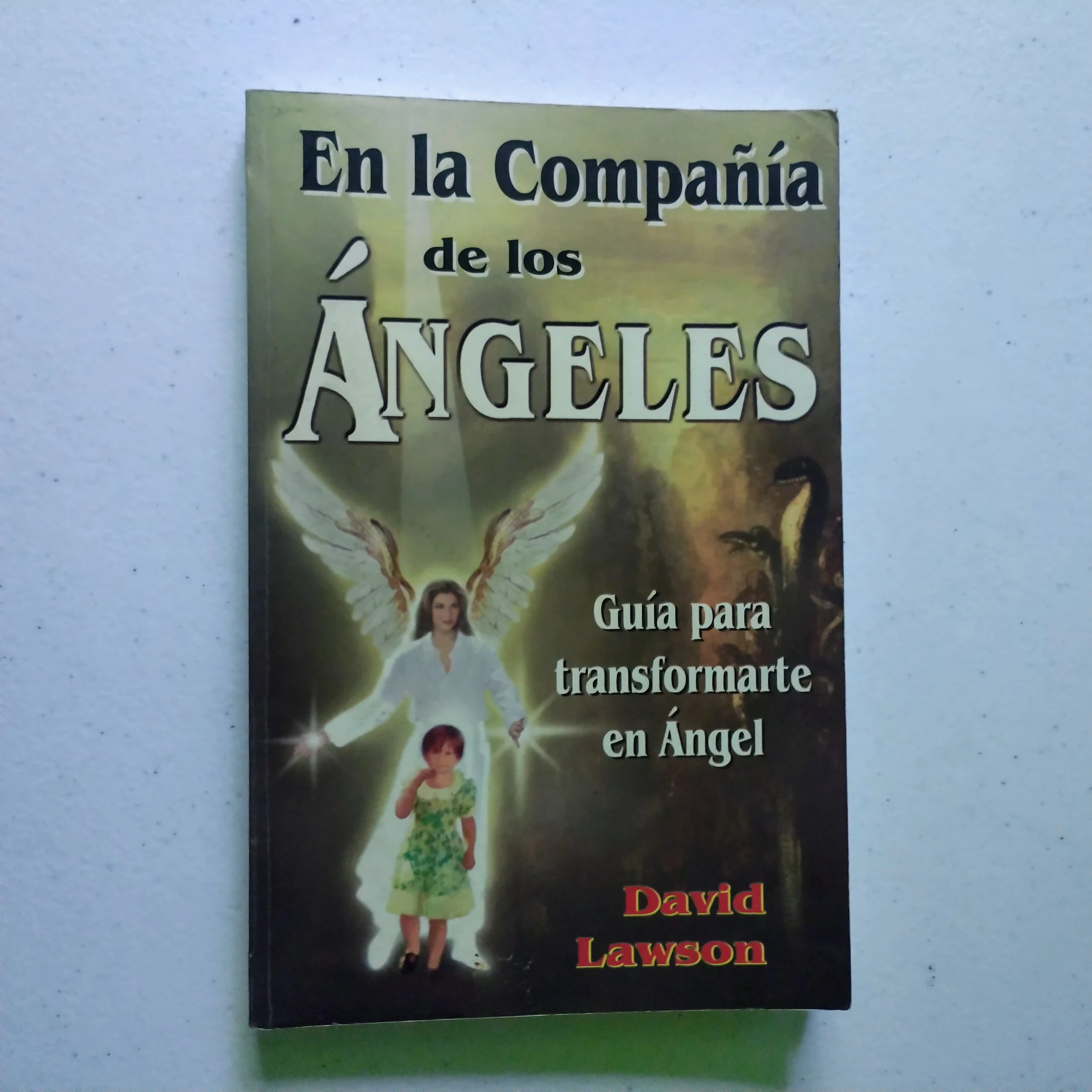 En la compañía de los ángeles, David Lawson, usado