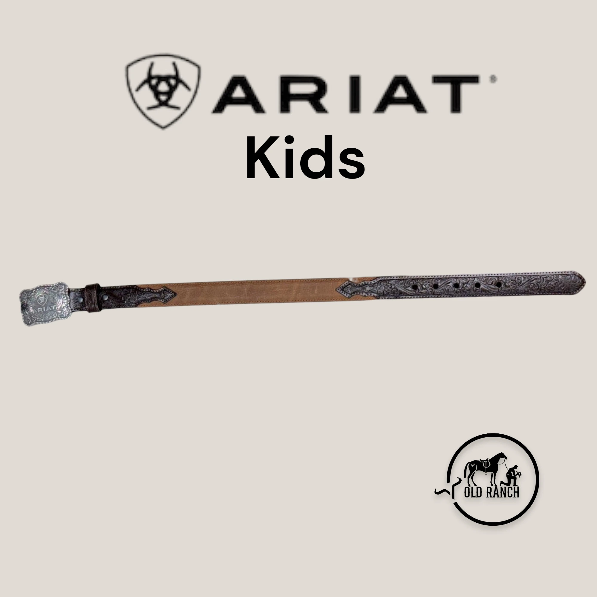 ARIAT 3