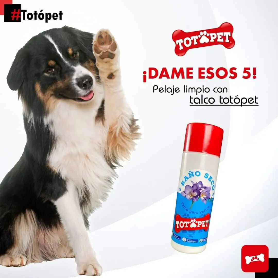 TALCO BAÑO SECO
