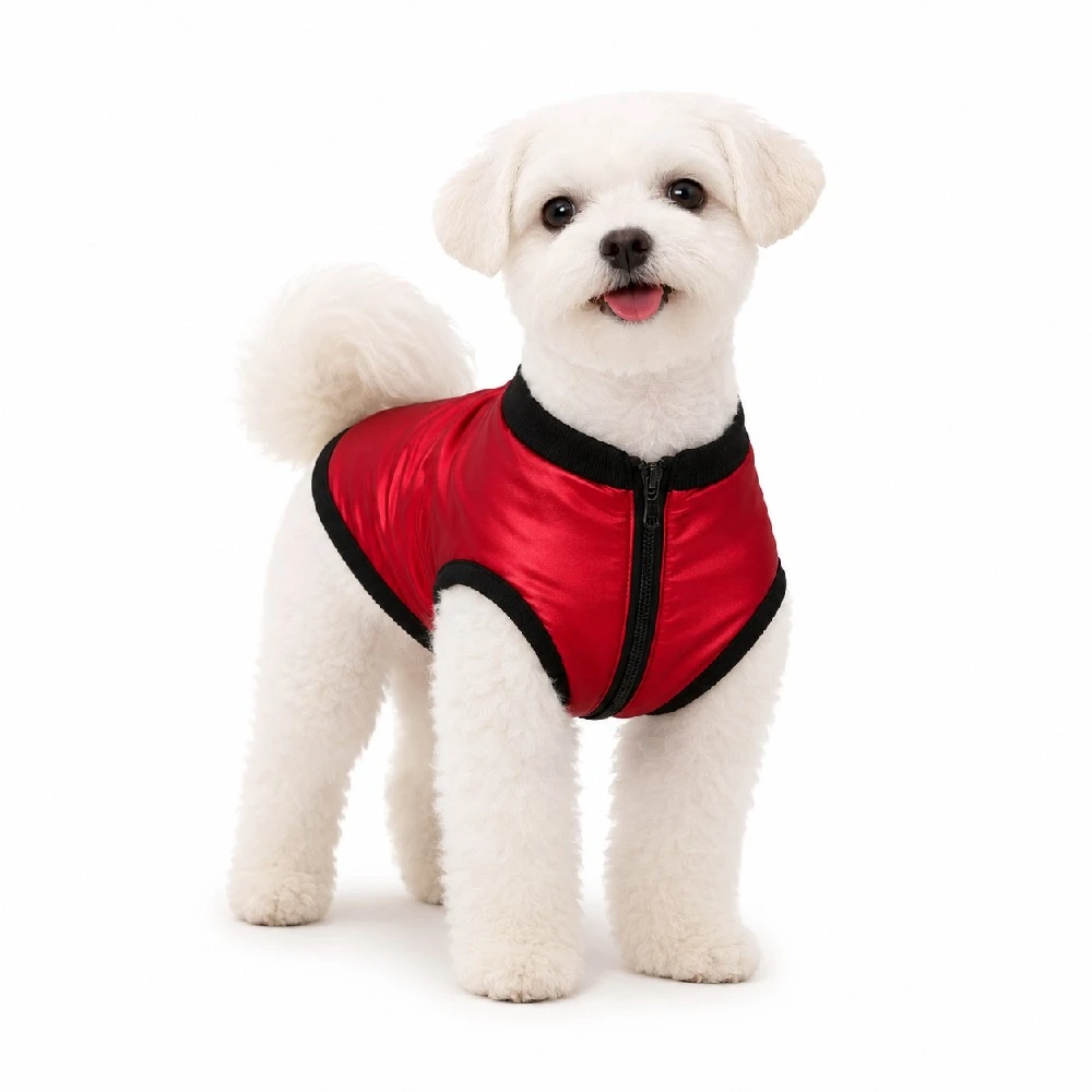Faja post operatoria en hydrotech para macho rojo tornasolada