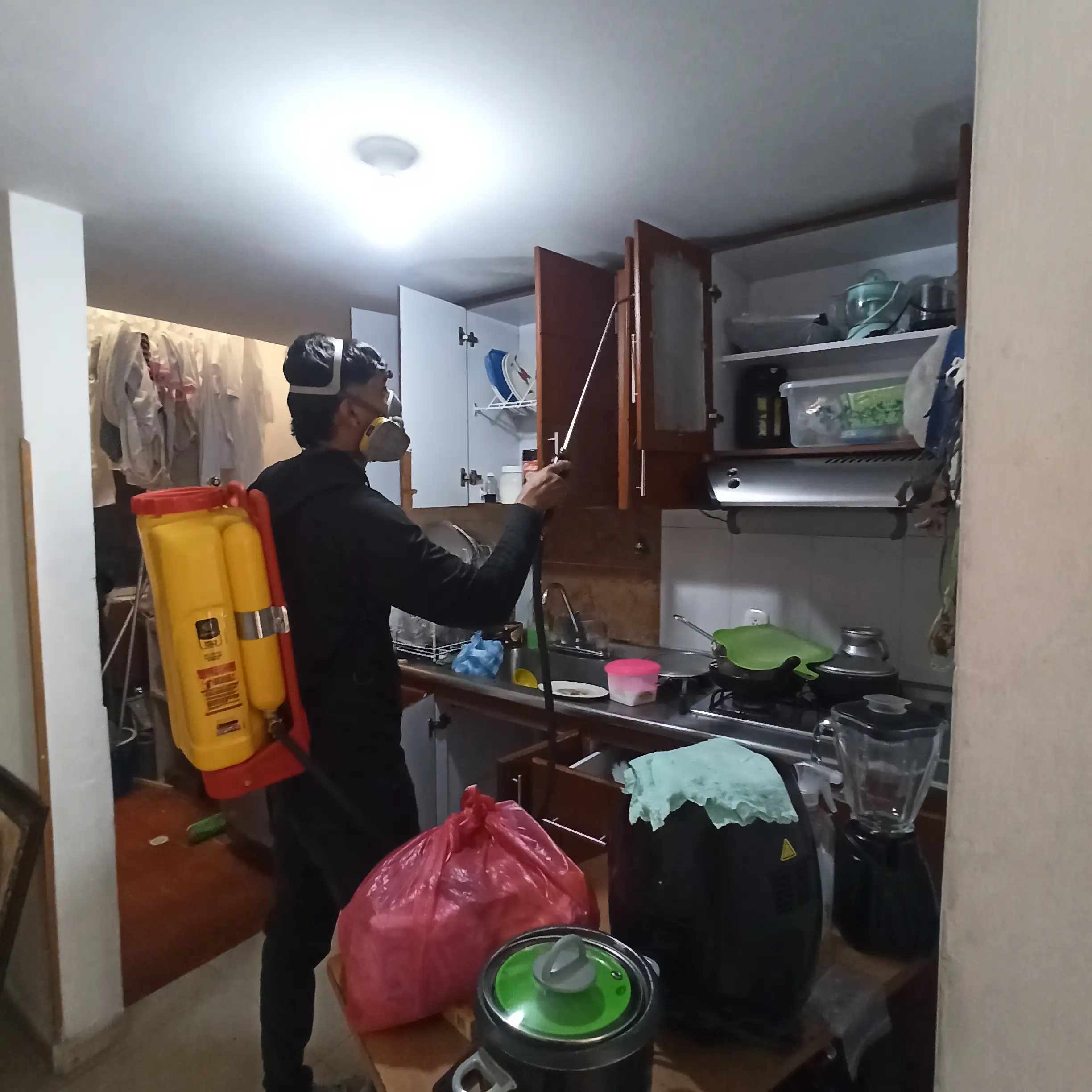 Fumigación residencial  3