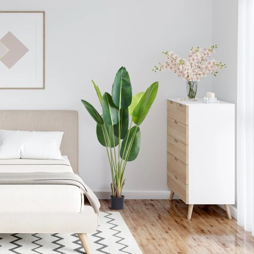 Planta Palma de Viajero 150cm Hojas Amplias 5