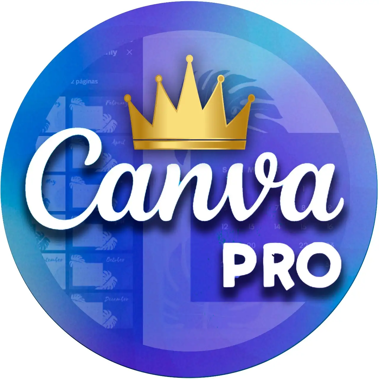 Canva Pro 1 año