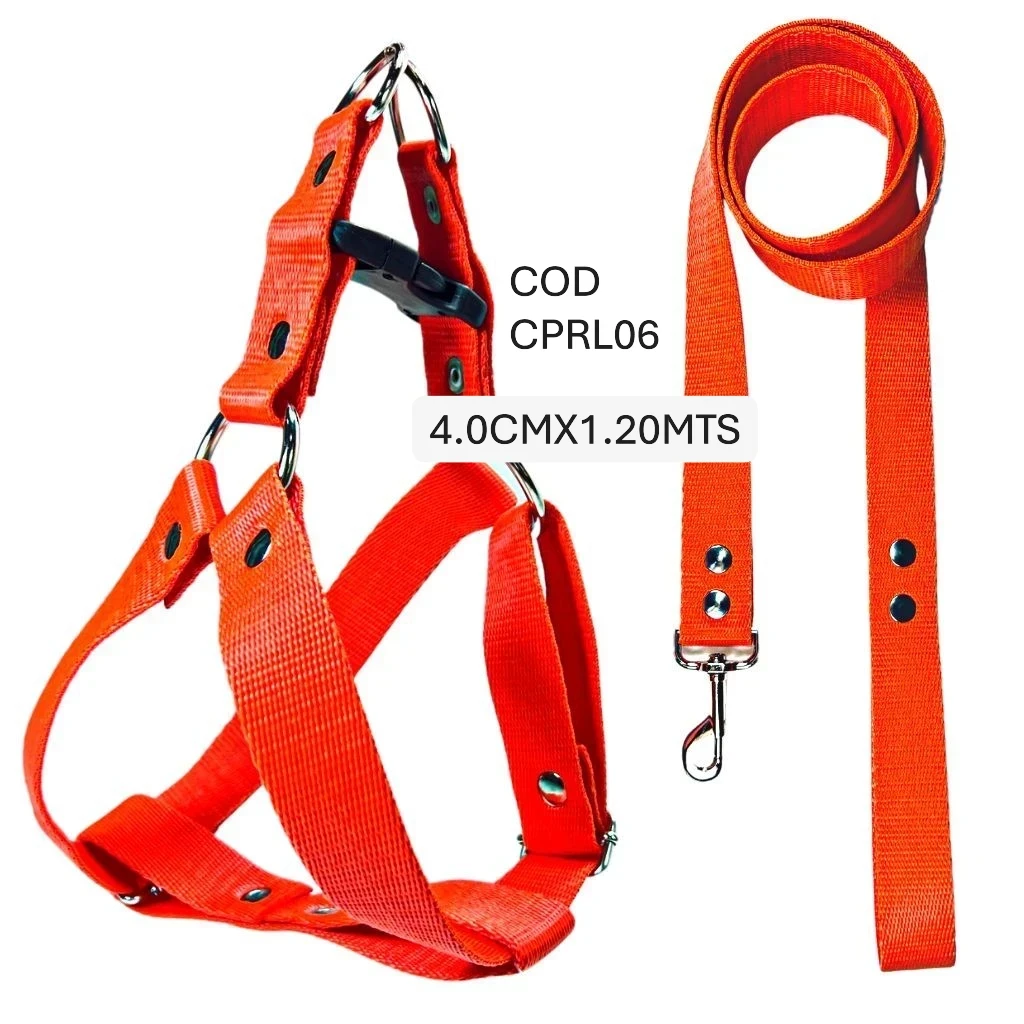 CONJUNTO T6 PRETAL+CORREA