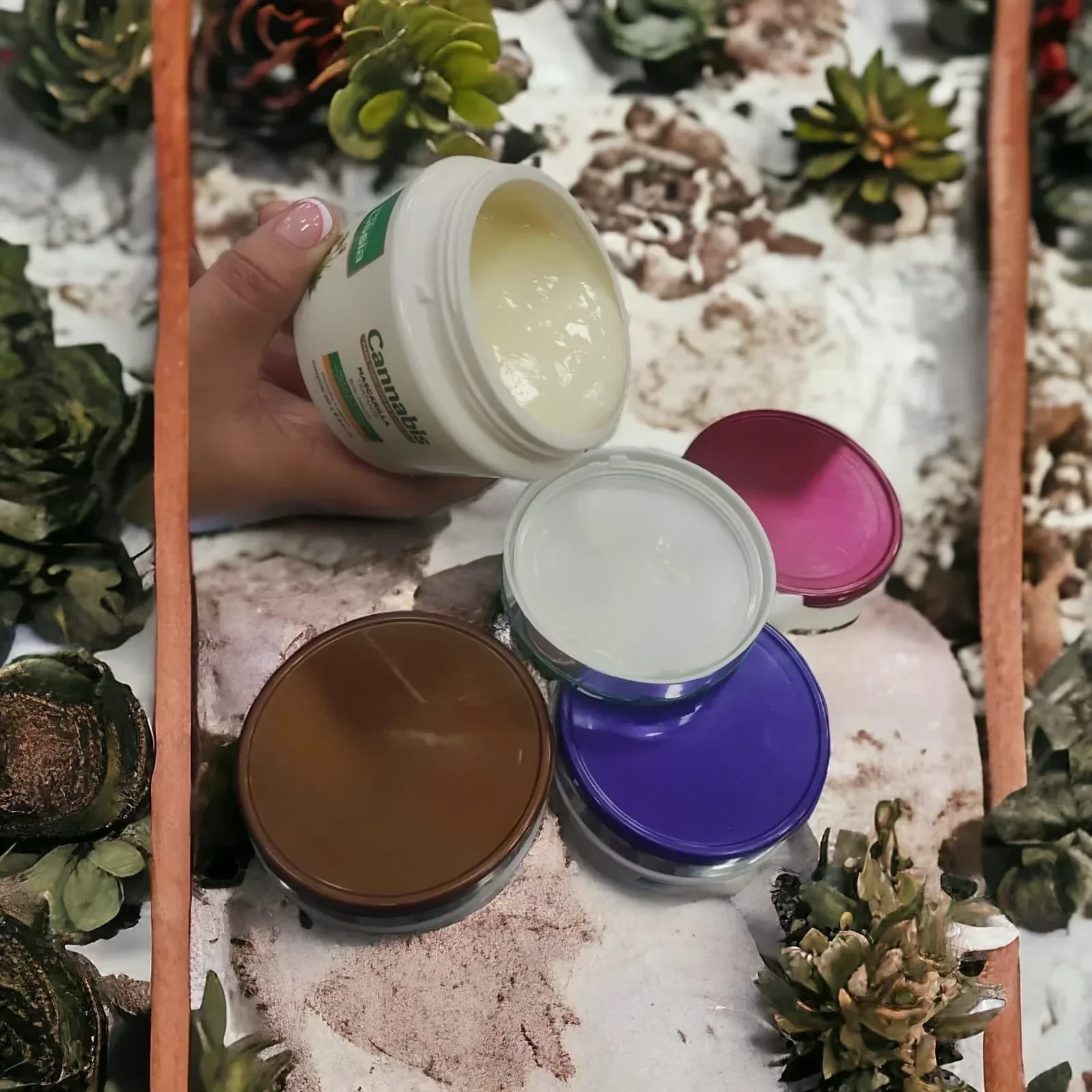 lissia tratamiento tarro x260 cannabis