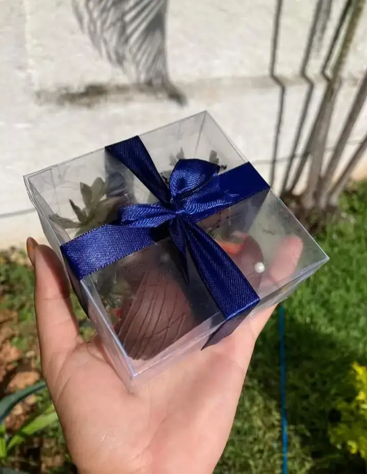 Mini fresas