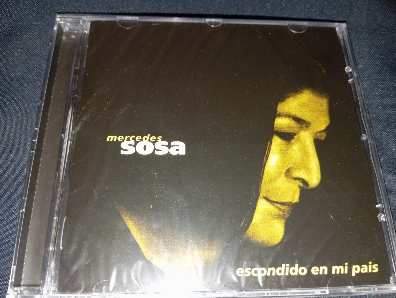 Mercedes Sosa - Escondido En Mi Pais (ARGENTINA)