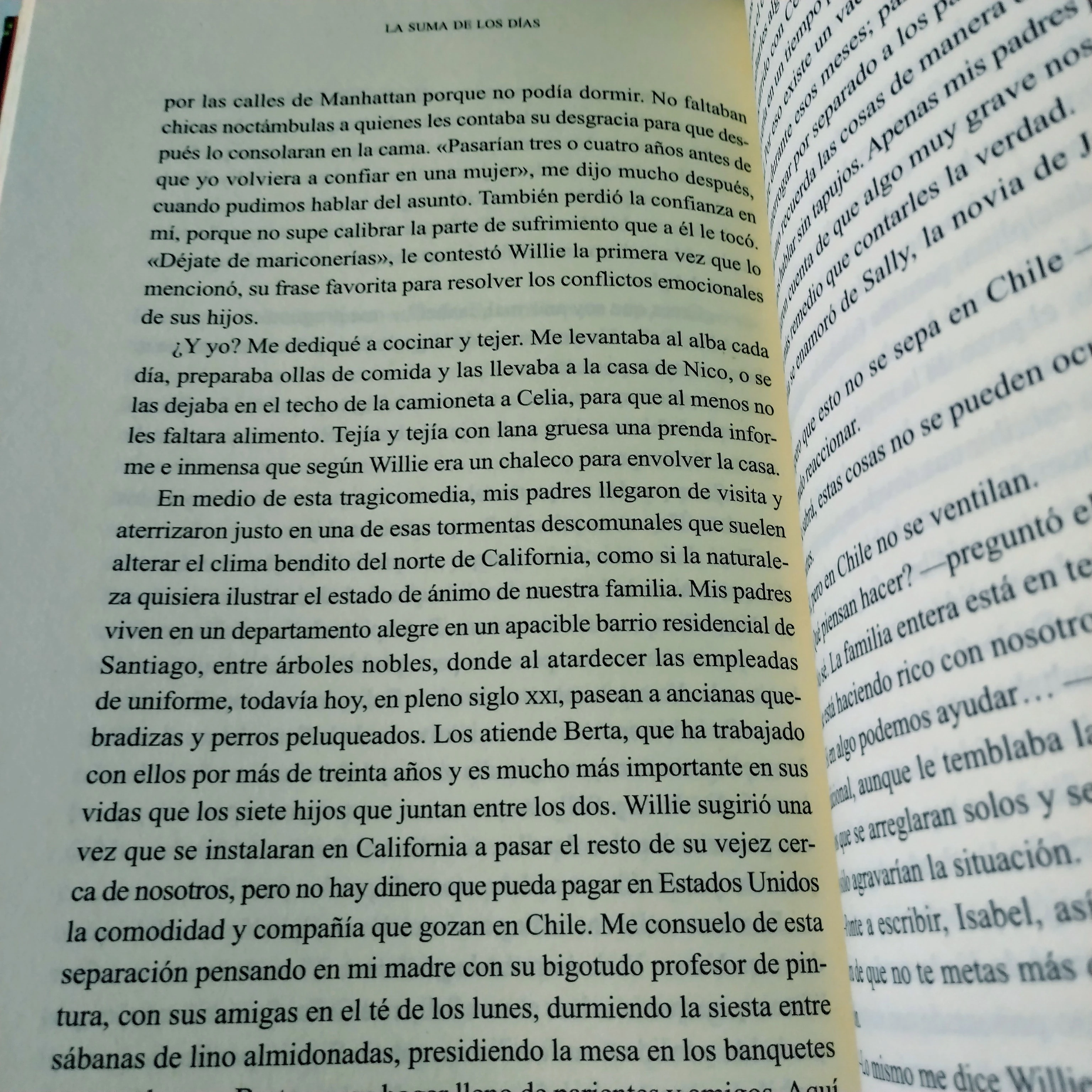 La suma de los dias, Isabel Allende, usado 3