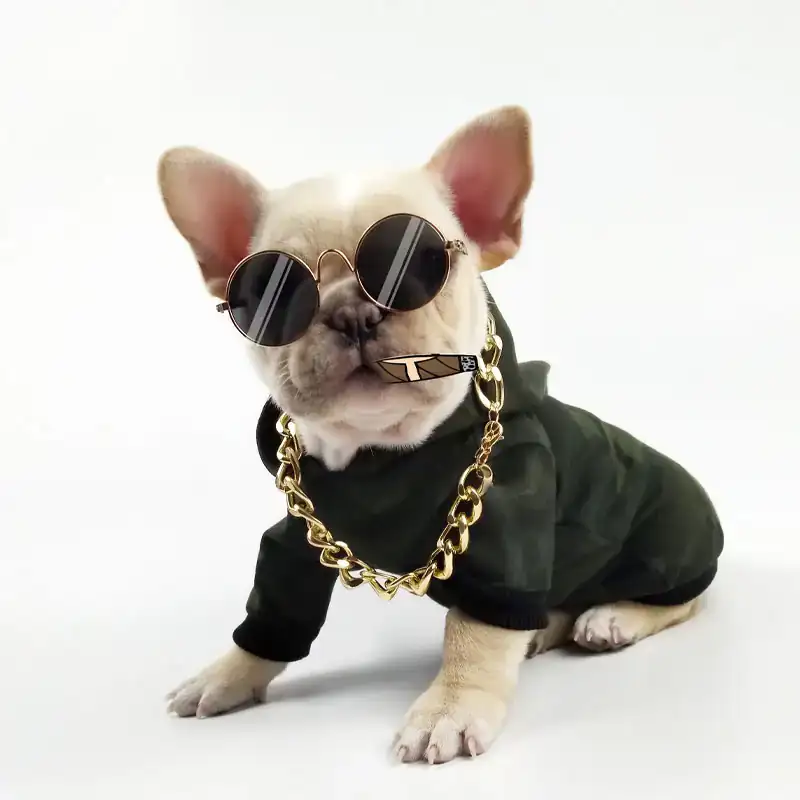 Lentes para mascota  2