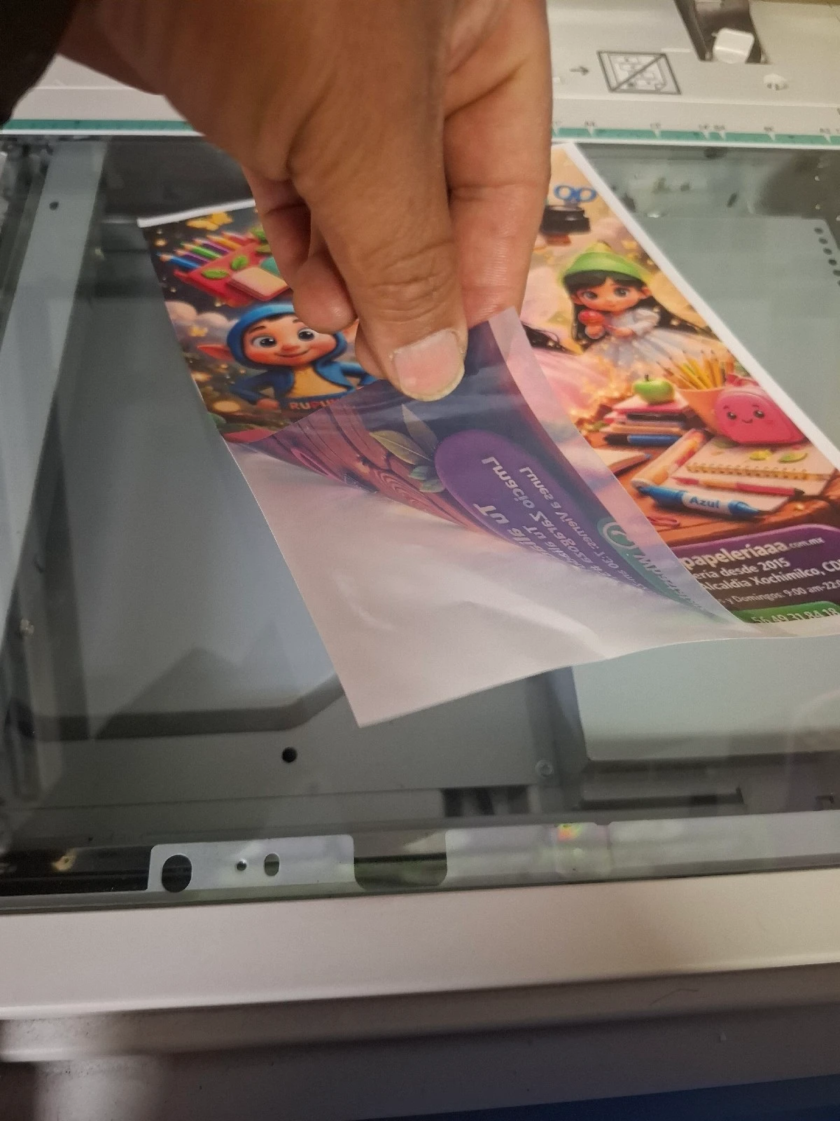 impresion en vinil carta color