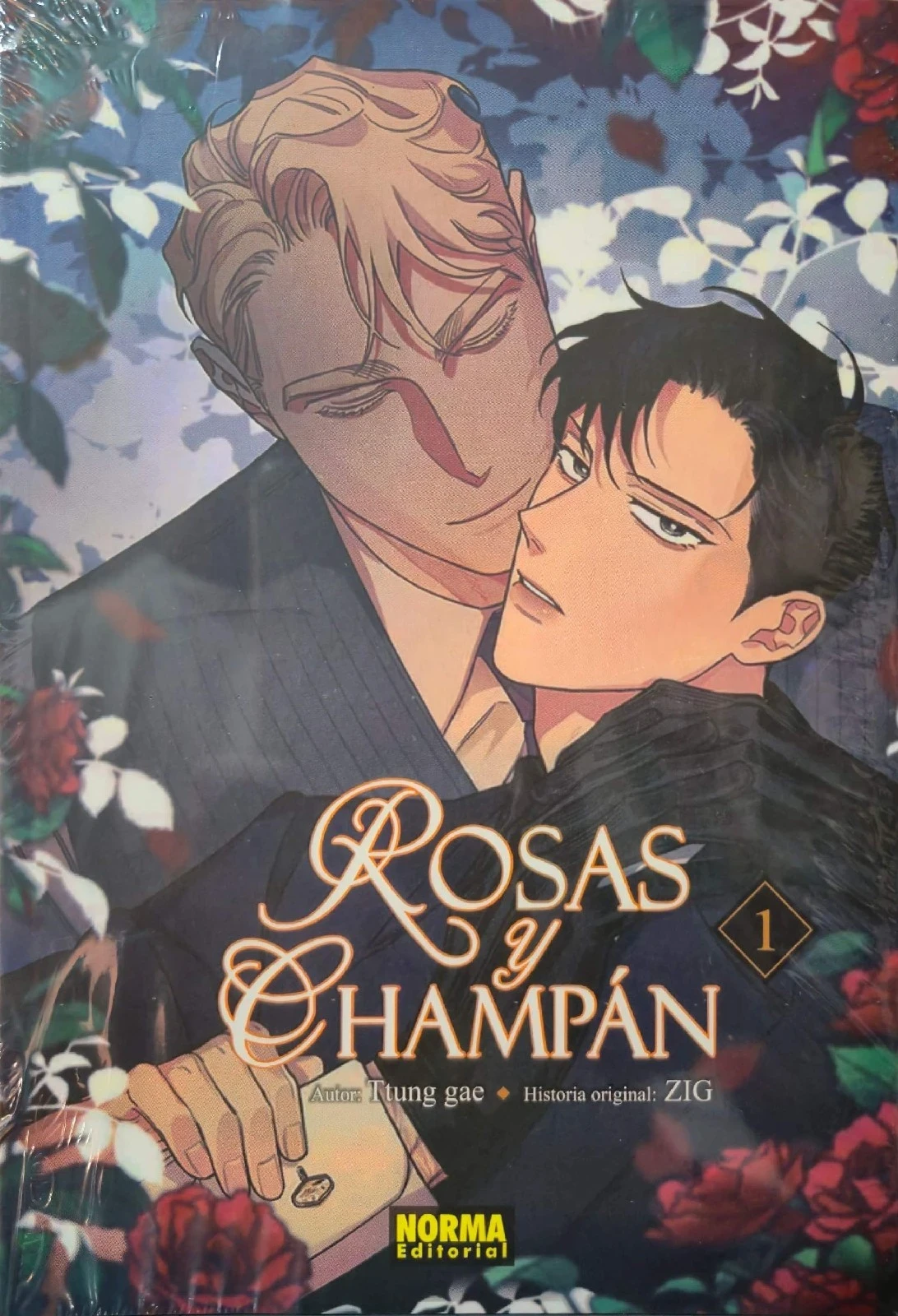 ROSAS Y CHAMPAN 1