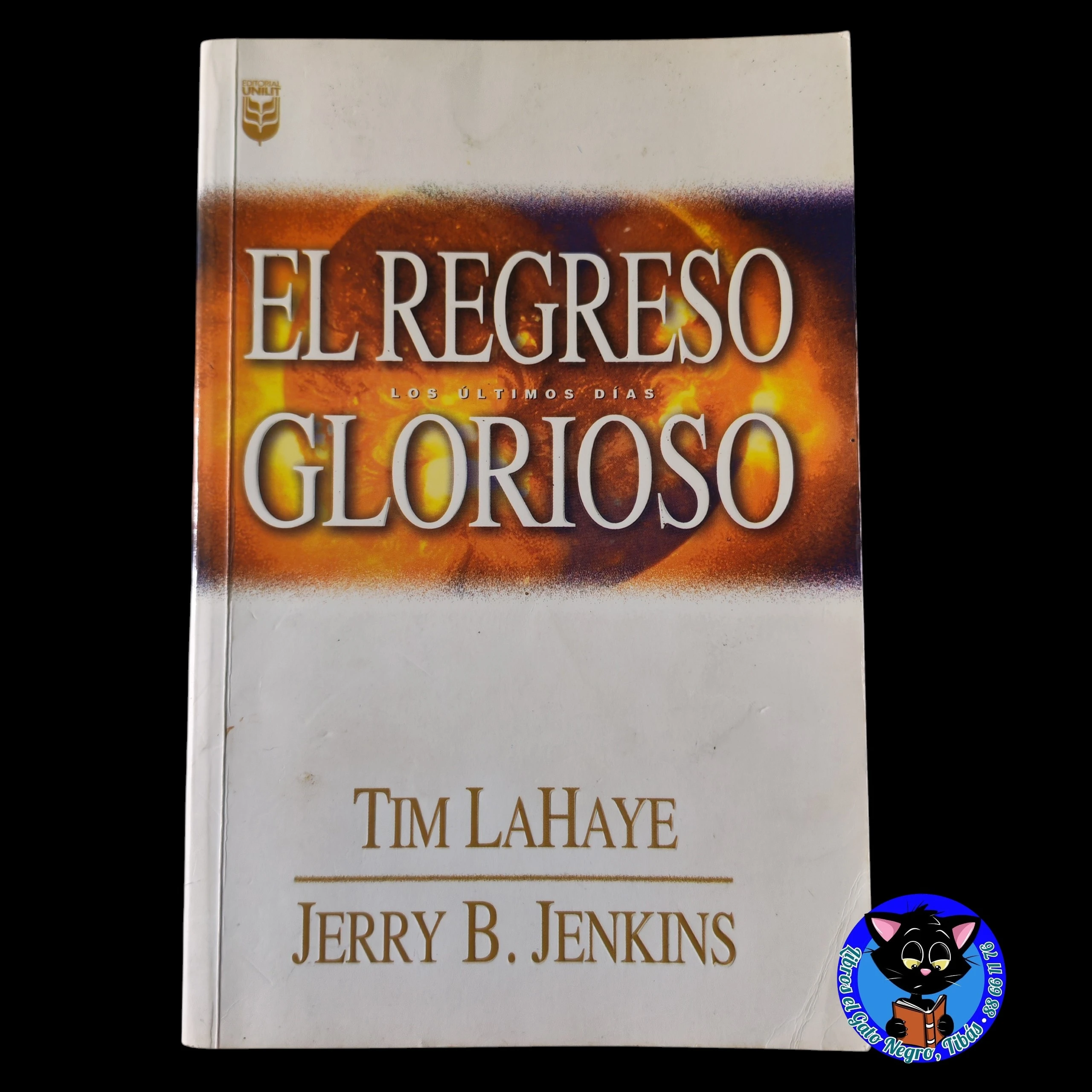 El regreso glorioso, T. LaHaye y J.B. Jenkins, usado