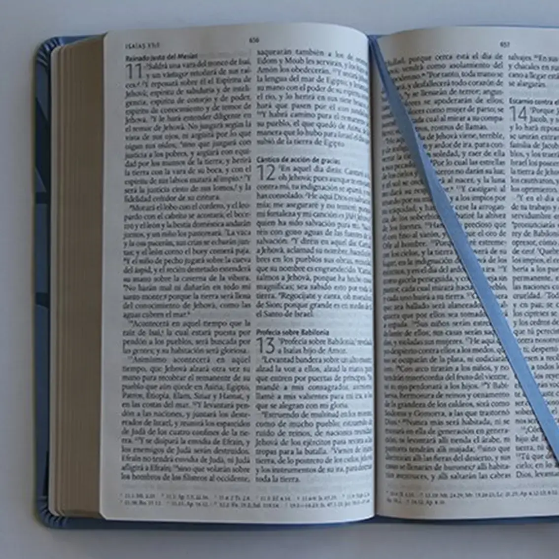Santa Biblia Nombres de Dios Letra grande RVR60 Azul celeste 4
