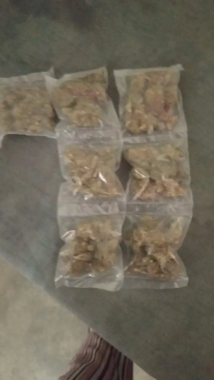 Mota regular 
