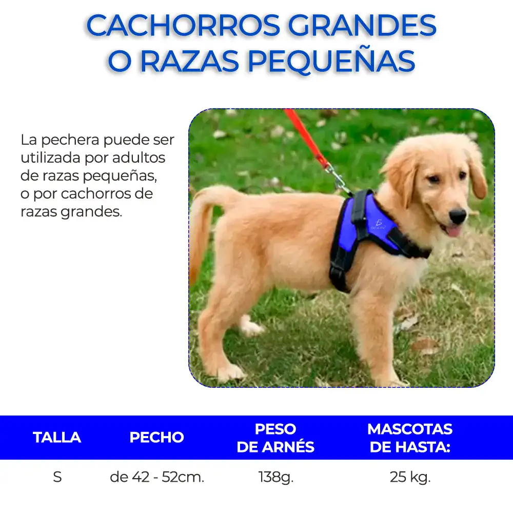 Pechera Arnes Para Mascotas Ajustable  3