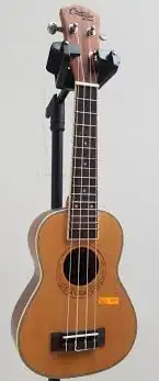 Ukulele Crusader 2