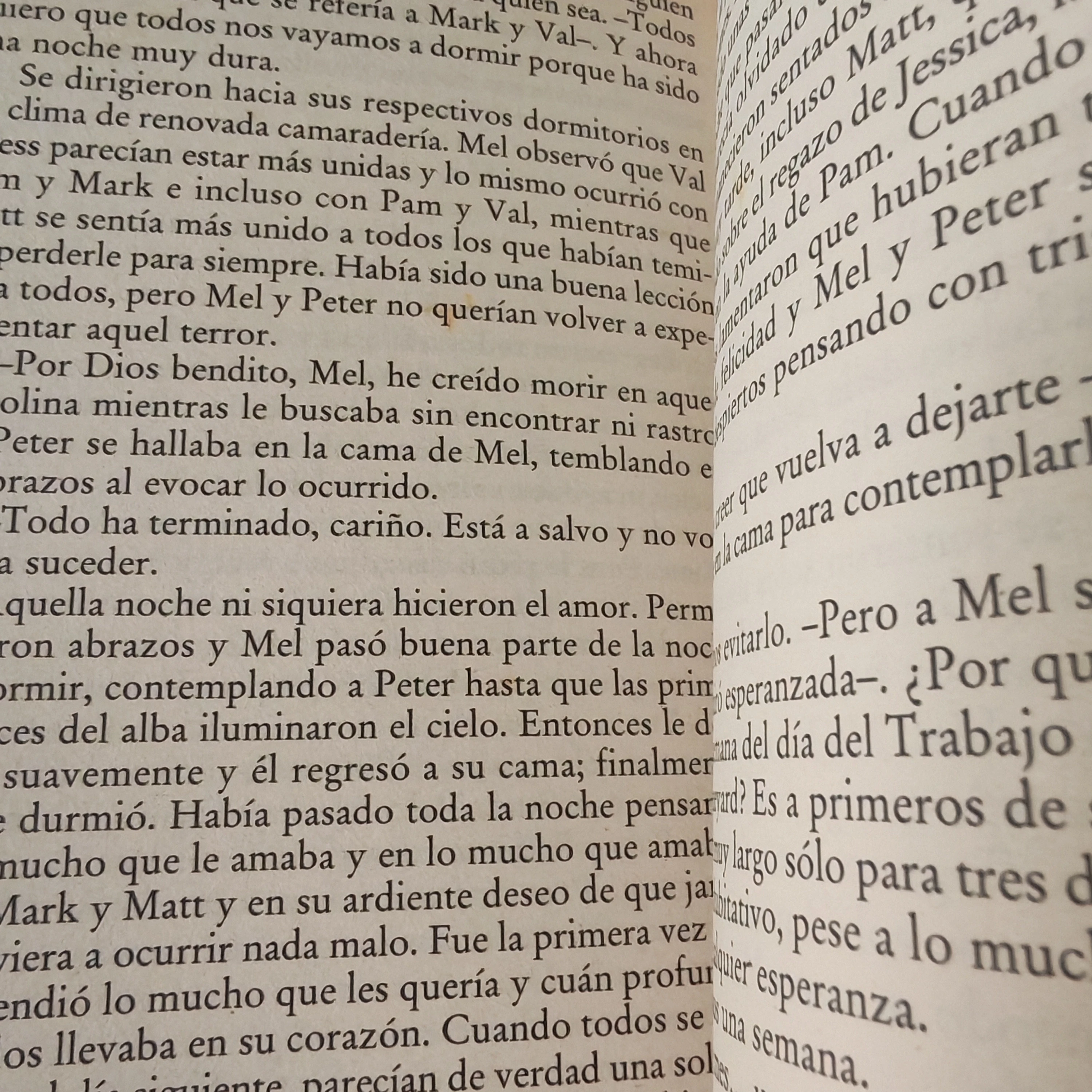 Encuentro decisivo, Danielle Steel, usado 3