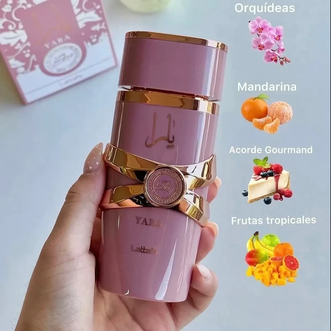 1.1 - Yara Elixir - Mujer