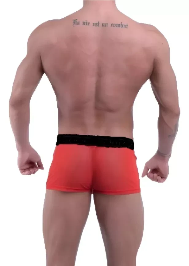 BOXER DE TUL COLA FRUNCIDA Rojo
