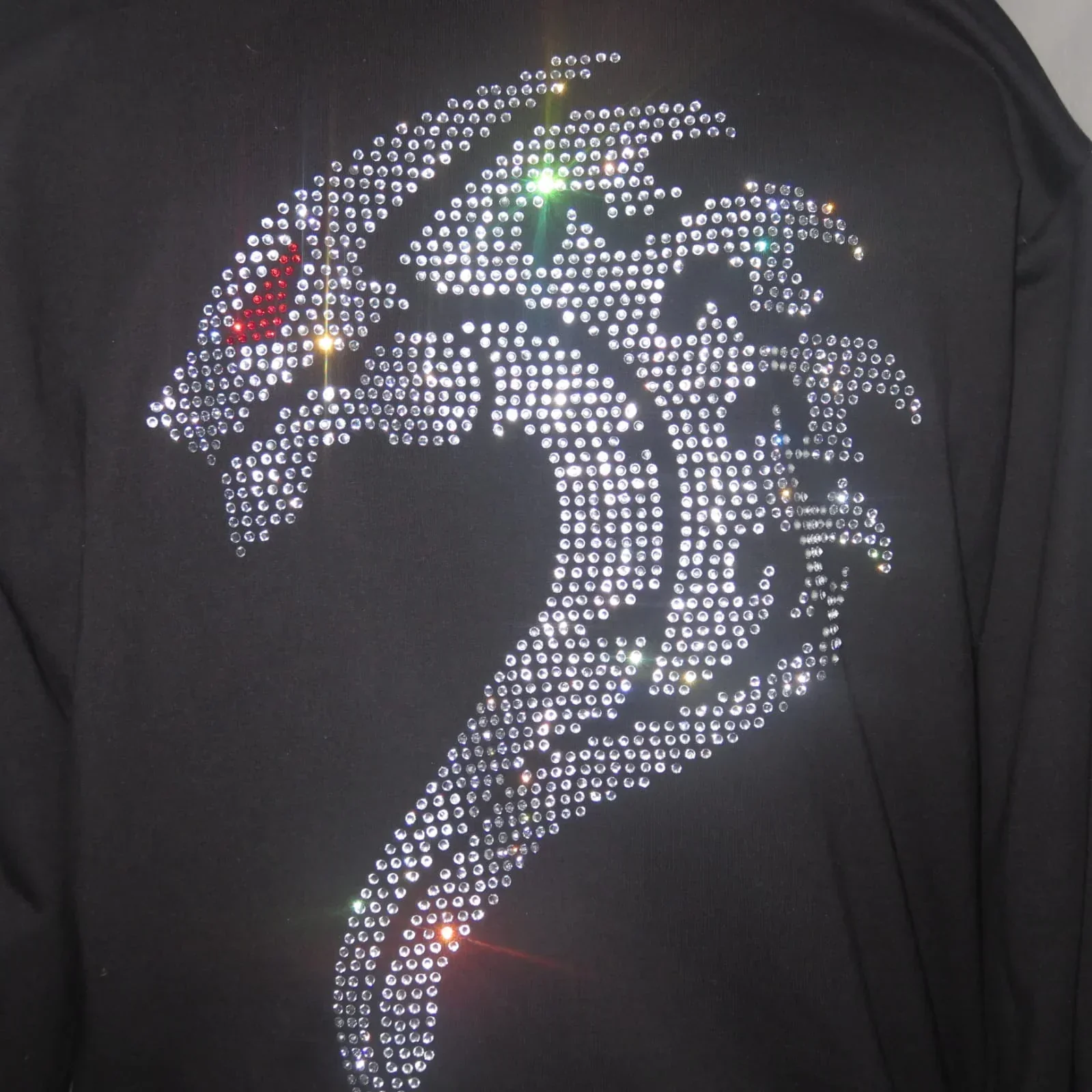 Sudadera de Dragon 4