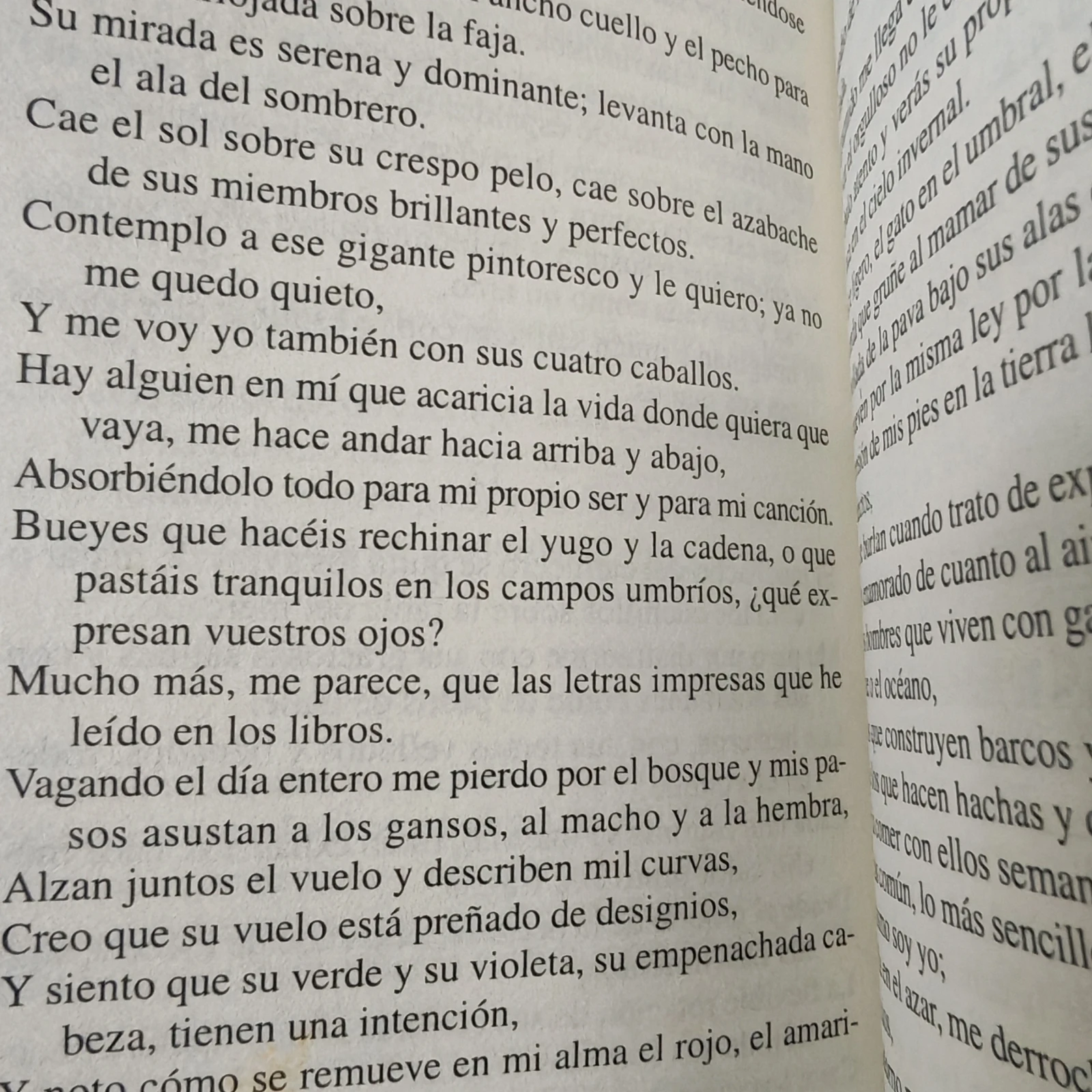 Canto a mi mismo, Walt Whitman usado  4