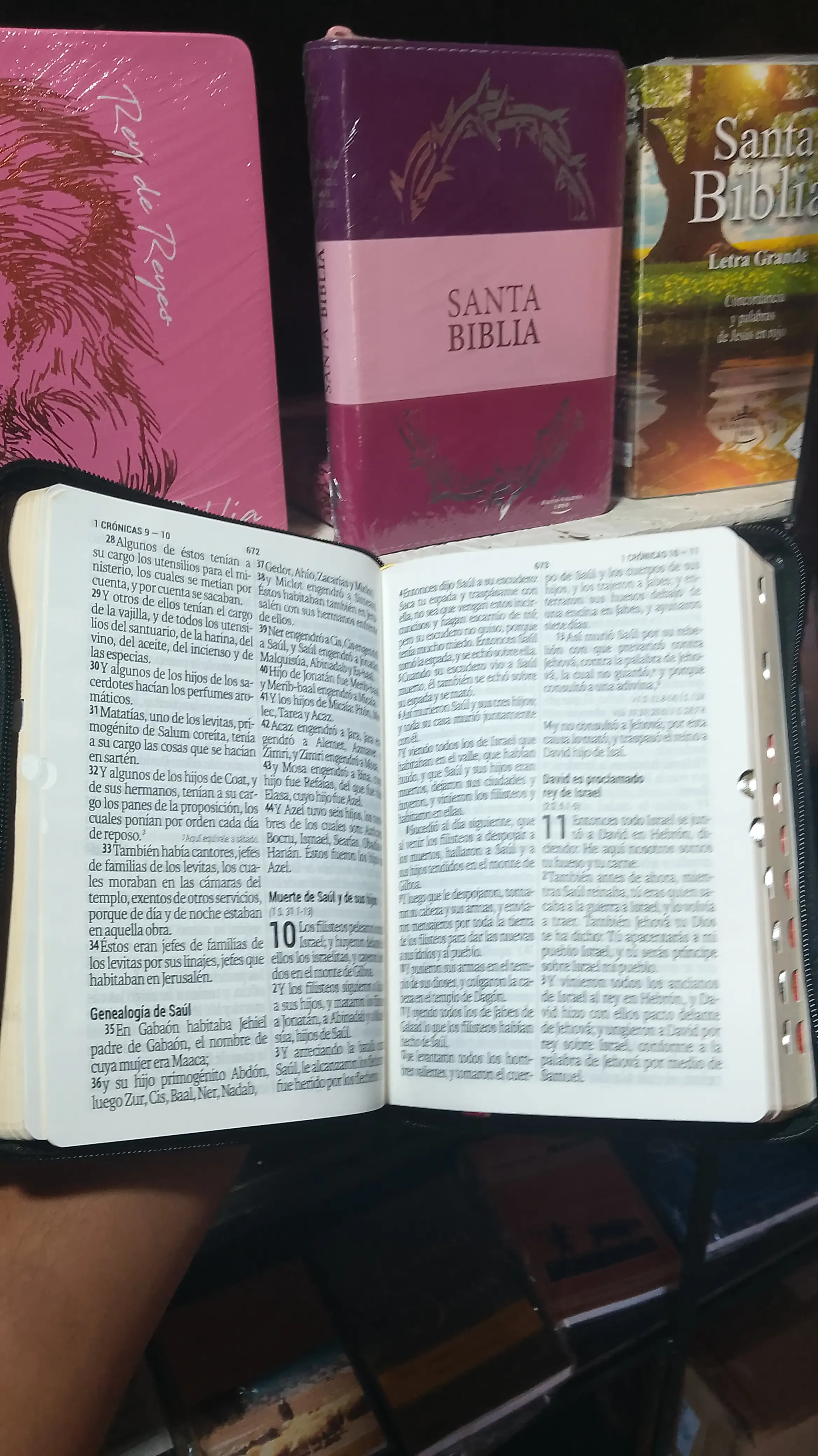 Biblia RVR1960 letra gigante  3
