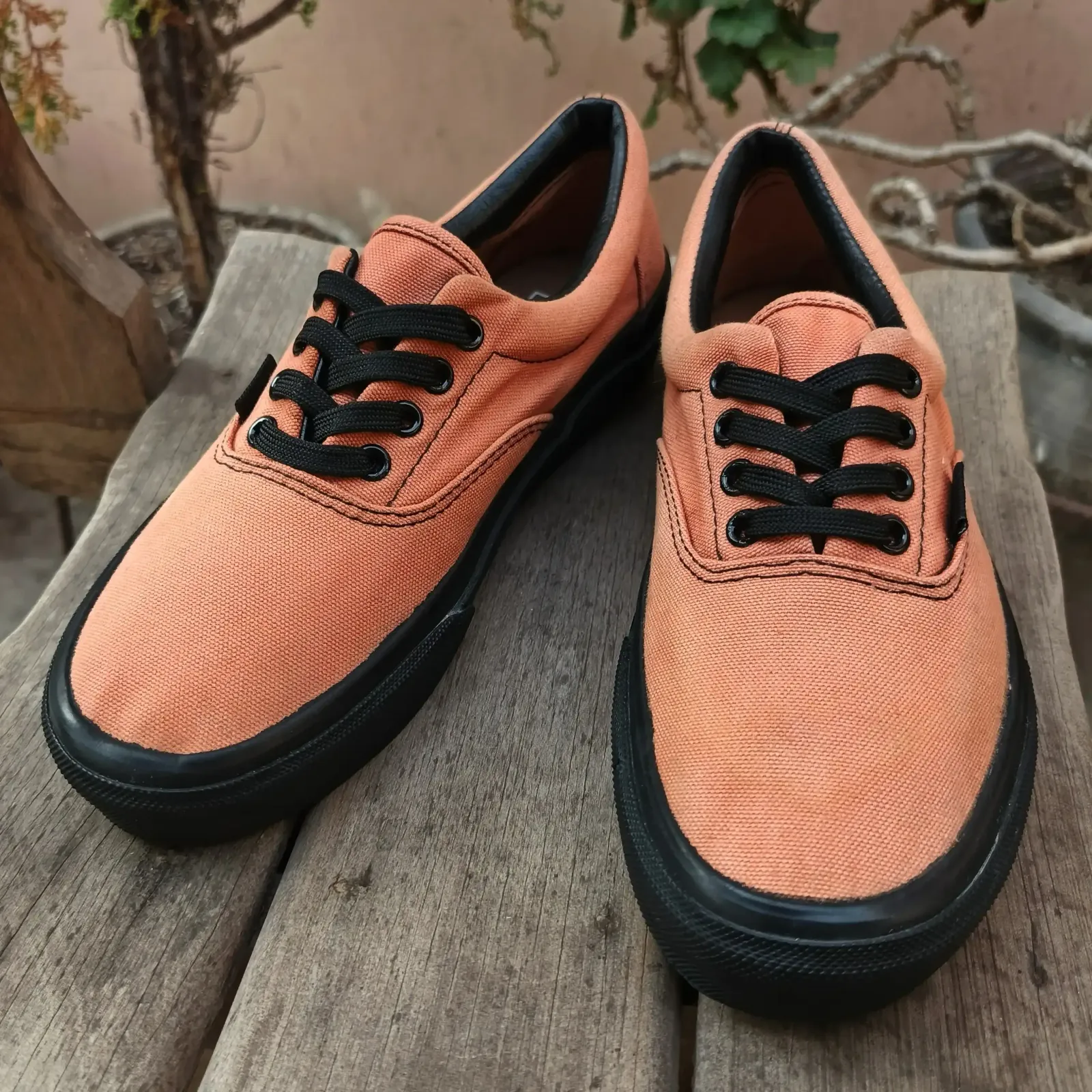 Vans 2