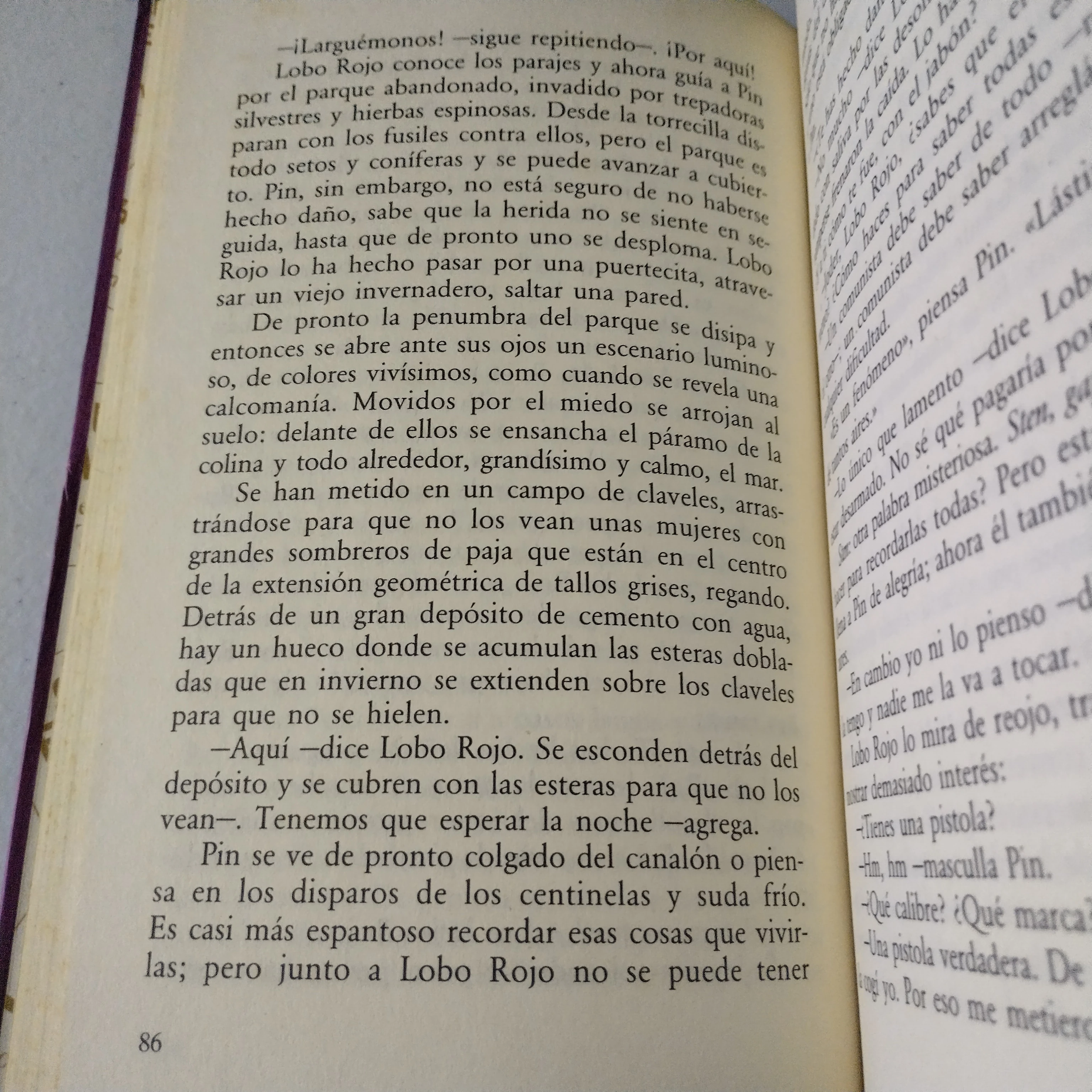 El sendero de los nidos de araña, Italo Calvino, usado  3