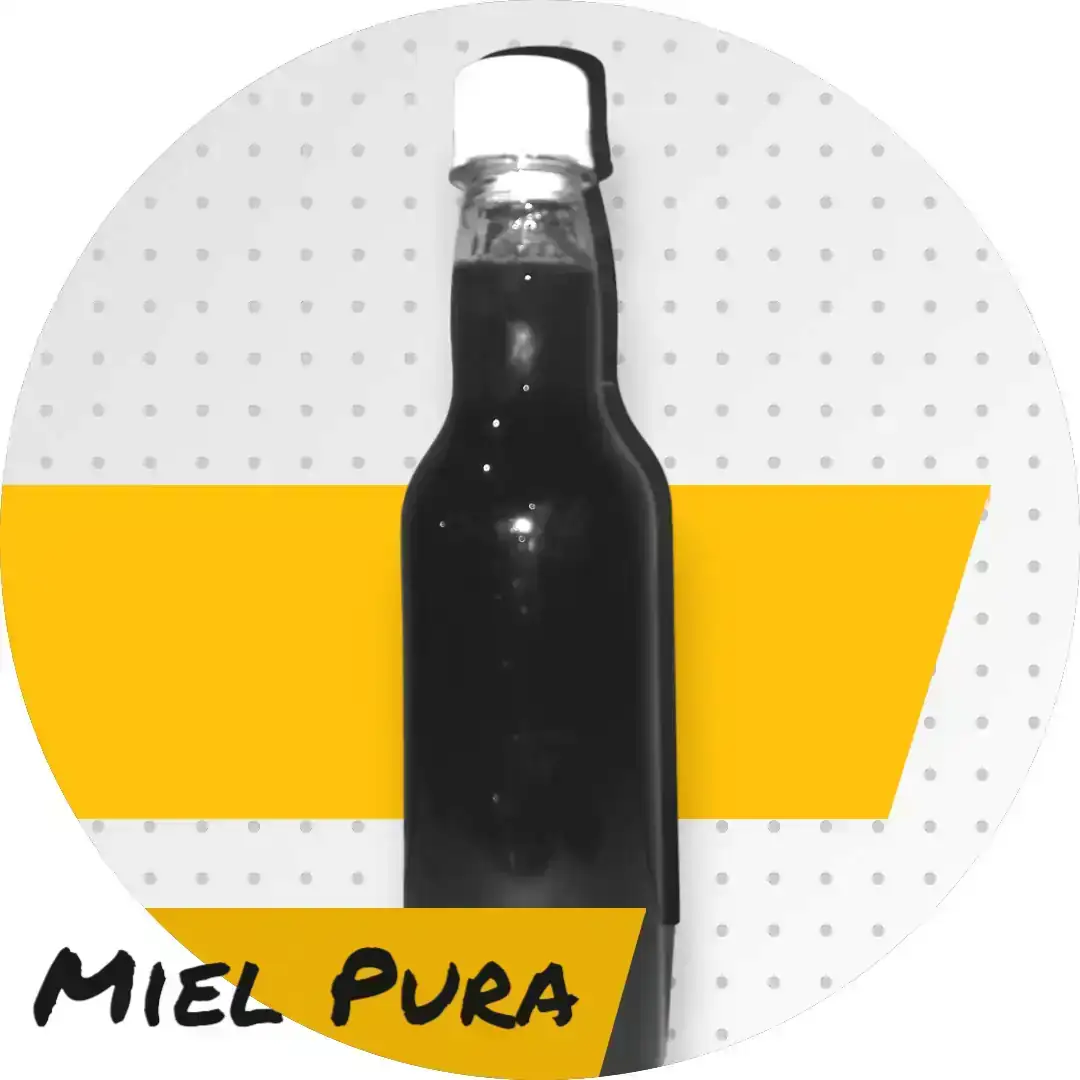 Miel Pura (Botella)