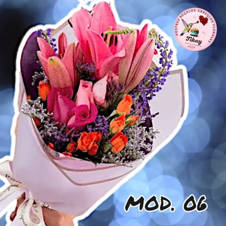 Mod. 06