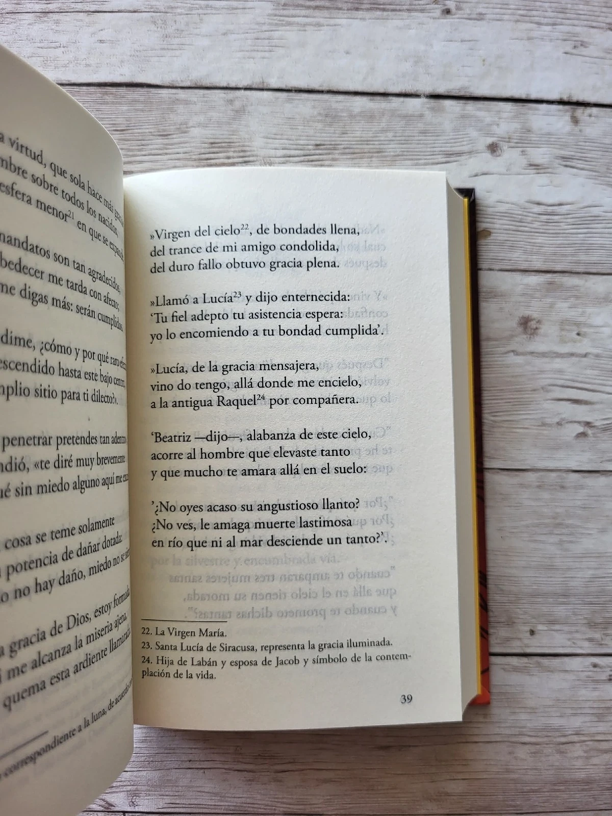 Divina comedia Infierno / Dante Aliguieri 3