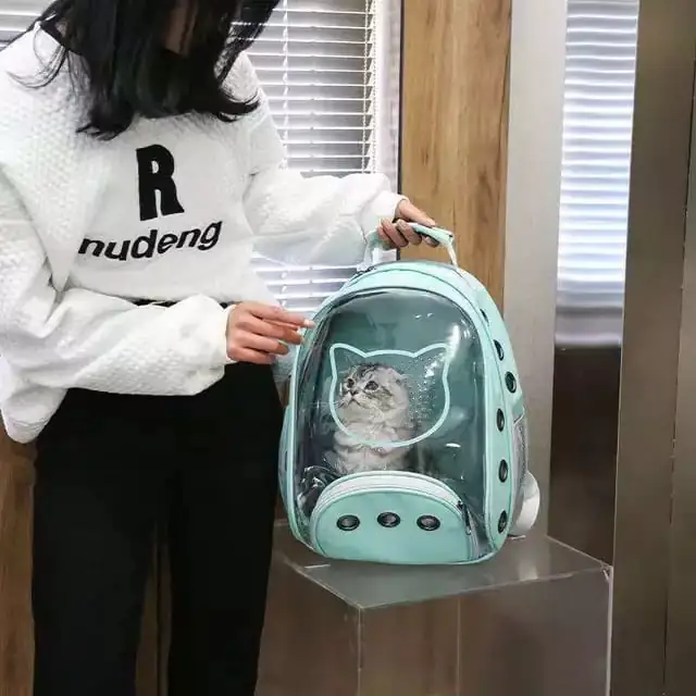 MOCHILA LISA CON ESTAMPADO 3