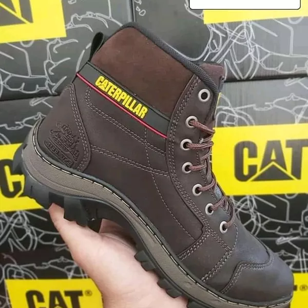 Caterpillar 4