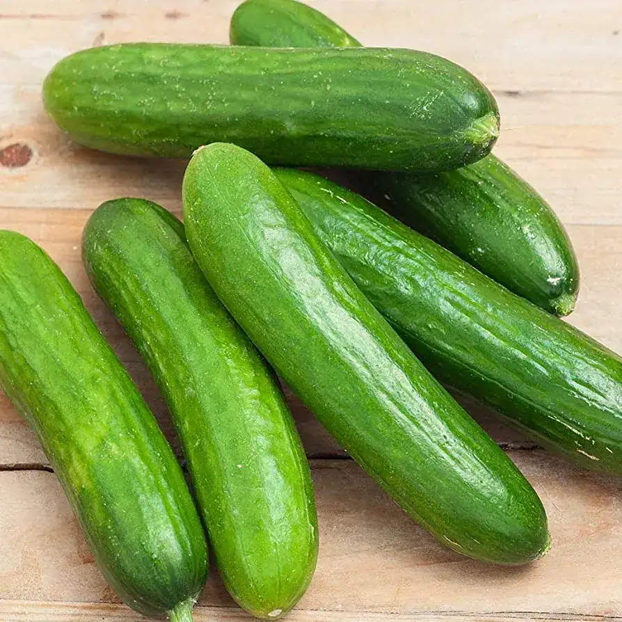 PEPINO SIN SEMILLA