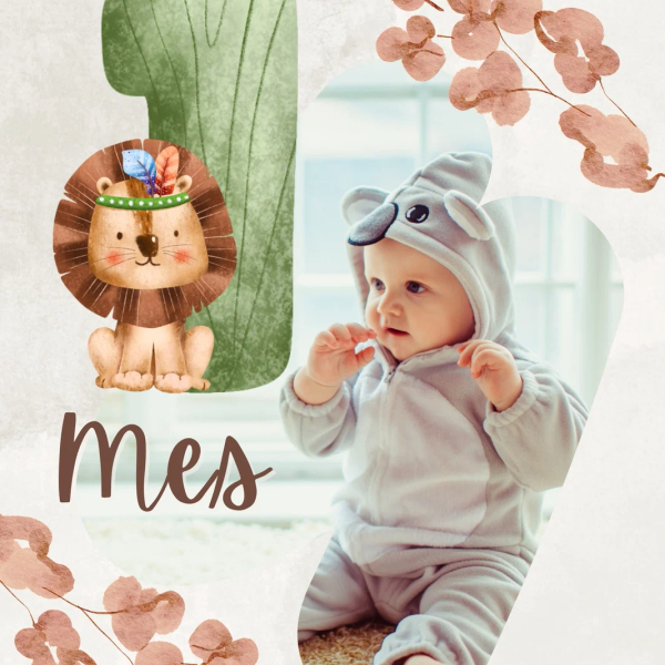 Bebés