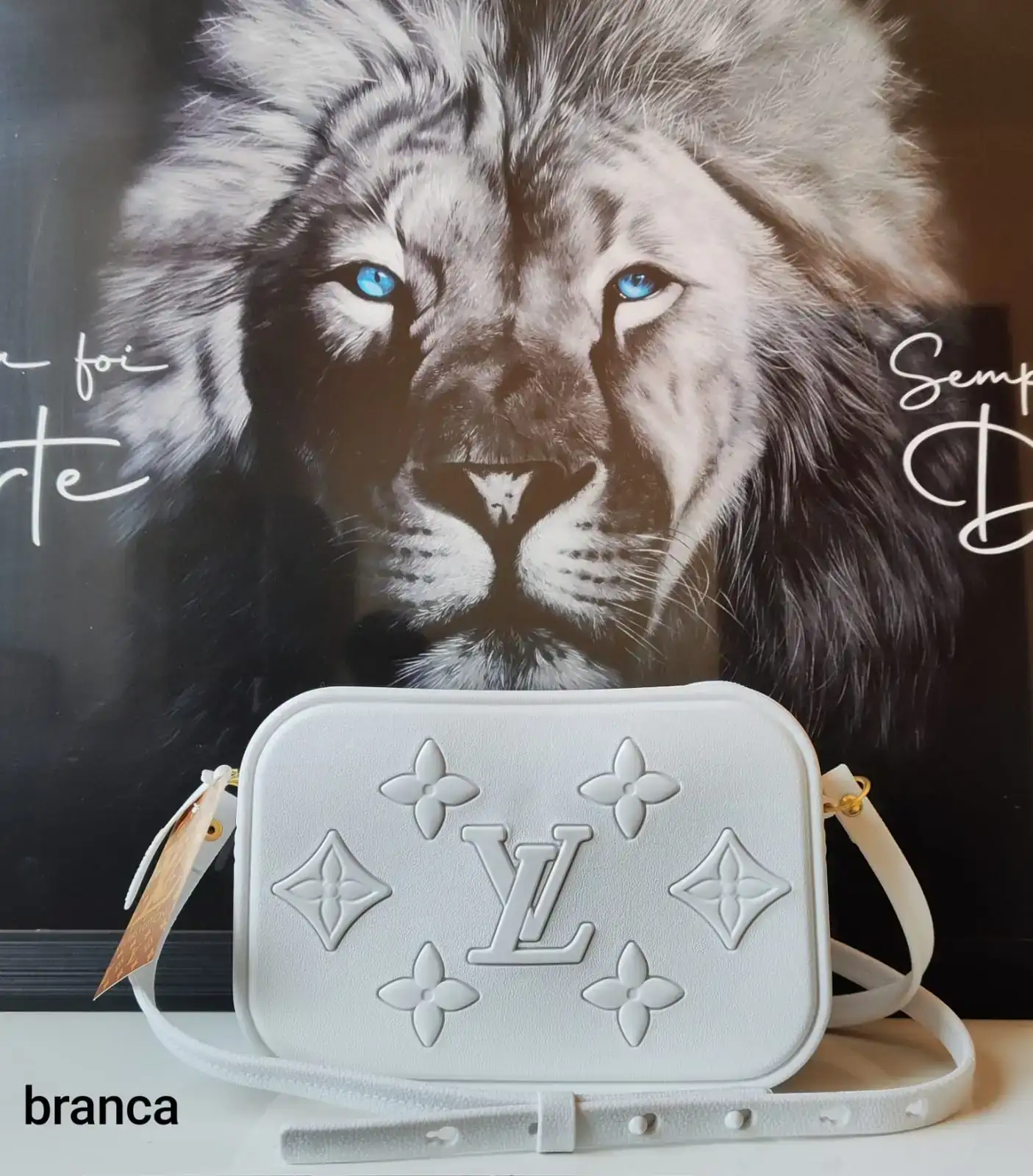 BOLSA LOUIS VUITTON ALÇA  3