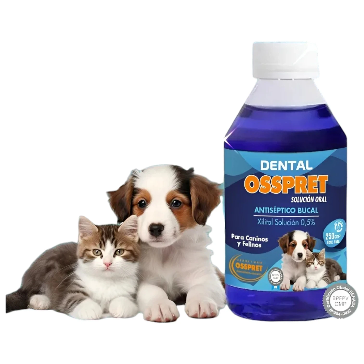 DENTAL OSSPRET