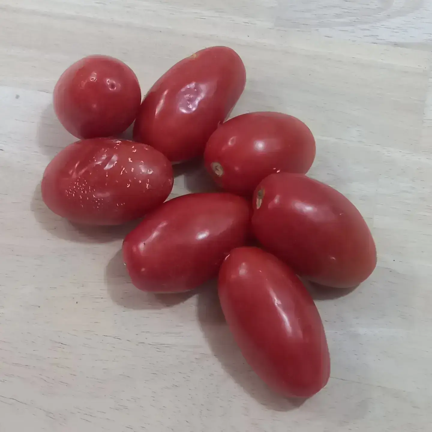 Tomate 